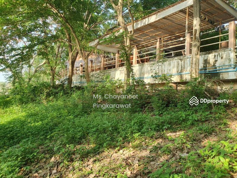ขาย - ขายบ้าน 4 หลัง ริมแม่น้ำปิง เนื้อที่ 5 ไร่เศษ อ.เมือง จ.เชียงใหม่, เชียงใหม่