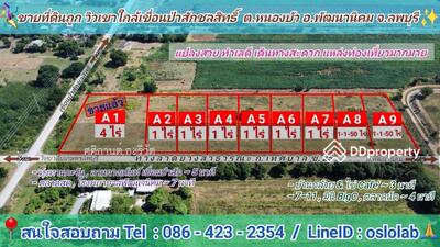 ขาย - ขายที่ดินเปล่า 1 ไร่ อ. พัฒนานิคม ต. หนองบัว จ. ลพบุรี ซอย 25 สาย 2 ซ้าย ถูกมาก, ลพบุรี