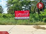 ที่ดินสามโคก ปทุมธานี, ปทุมธานี