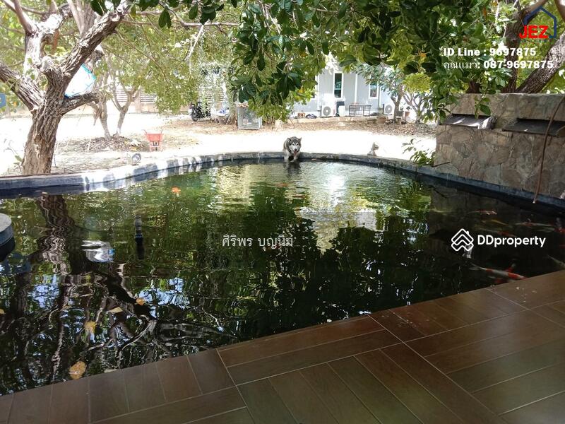 ขาย - ขายที่ดินพร้อมบ้านชั้นเดี่ยวหลังใหญ่ ขนาด 400 ตารางเมตร ภายในบ้านตกแต่งอย่างดีตามหลักฮวงจุ้ย, นครปฐม