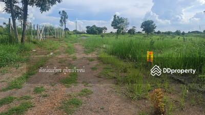 ขาย - ขายที่ดิน ซอยสุวินทวงศ์ 96/2, กรุงเทพ