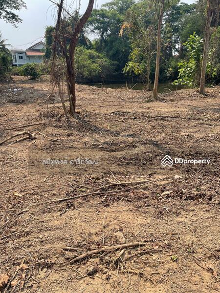 For Sale - Land for sale, Chiengmai 2-0-28.8 rai, Chiang Mai