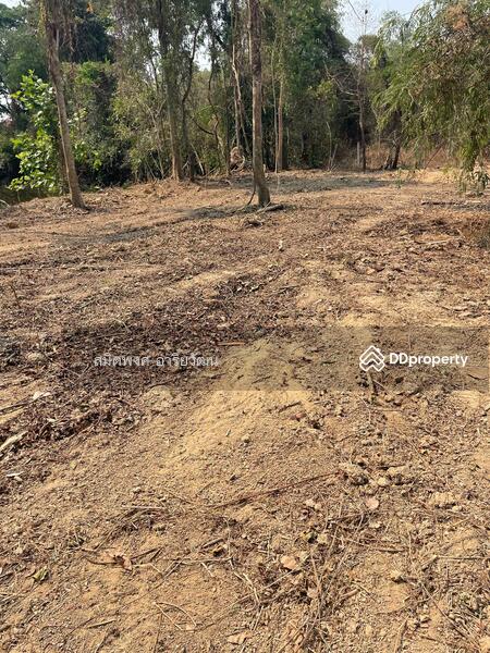 For Sale - Land for sale, Chiengmai 2-0-28.8 rai, Chiang Mai