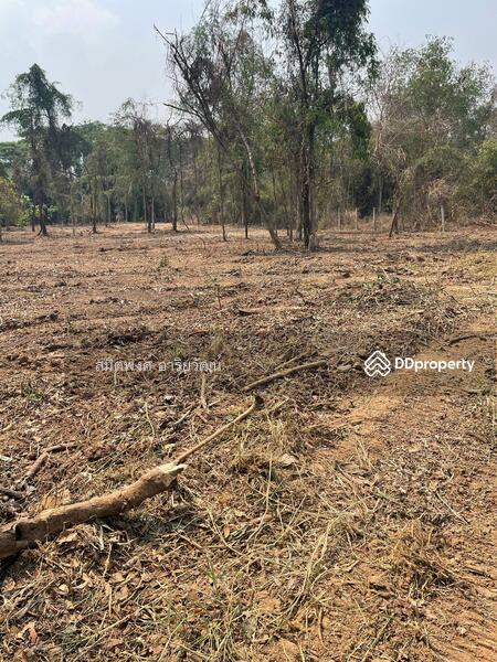 For Sale - Land for sale, Chiengmai 2-0-28.8 rai, Chiang Mai