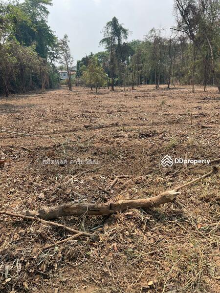 For Sale - Land for sale, Chiengmai 2-0-28.8 rai, Chiang Mai
