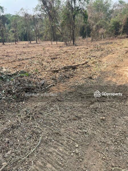 For Sale - Land for sale, Chiengmai 2-0-28.8 rai, Chiang Mai