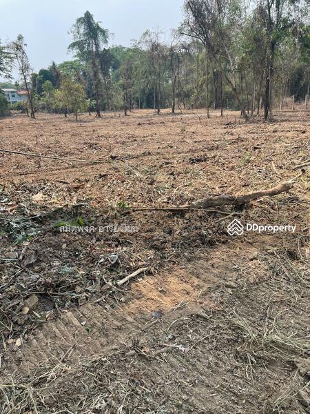 For Sale - Land for sale, Chiengmai 2-0-28.8 rai, Chiang Mai