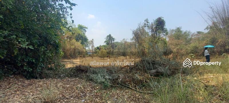 For Sale - Land for sale, Chiengmai 2-0-28.8 rai, Chiang Mai
