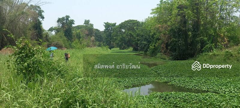 For Sale - Land for sale, Chiengmai 2-0-28.8 rai, Chiang Mai