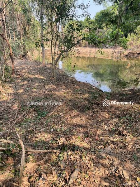 For Sale - Land for sale, Chiengmai 2-0-28.8 rai, Chiang Mai