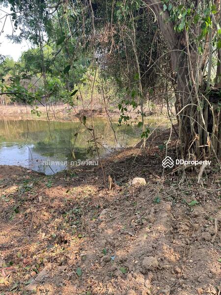 For Sale - Land for sale, Chiengmai 2-0-28.8 rai, Chiang Mai