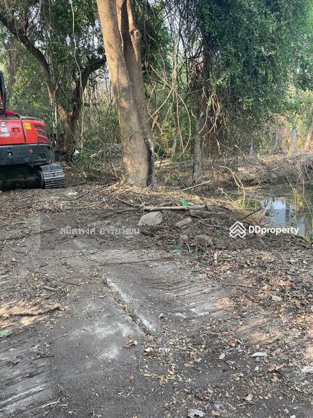 For Sale - Land for sale, Chiengmai 2-0-28.8 rai, Chiang Mai