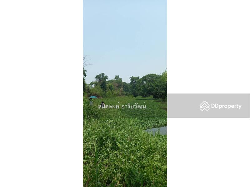 For Sale - Land for sale, Chiengmai 2-0-28.8 rai, Chiang Mai