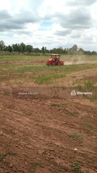 Land for sale 46-2-85 Rai Nakornsawan, Nakhon Sawan, Wang Bo, Nong Bua, Nakhon Sawan, , 74,740 sqm, Land For Sale, by สมิตพงศ์ อาริยวัฒน์, 11020919 - DDproperty.com