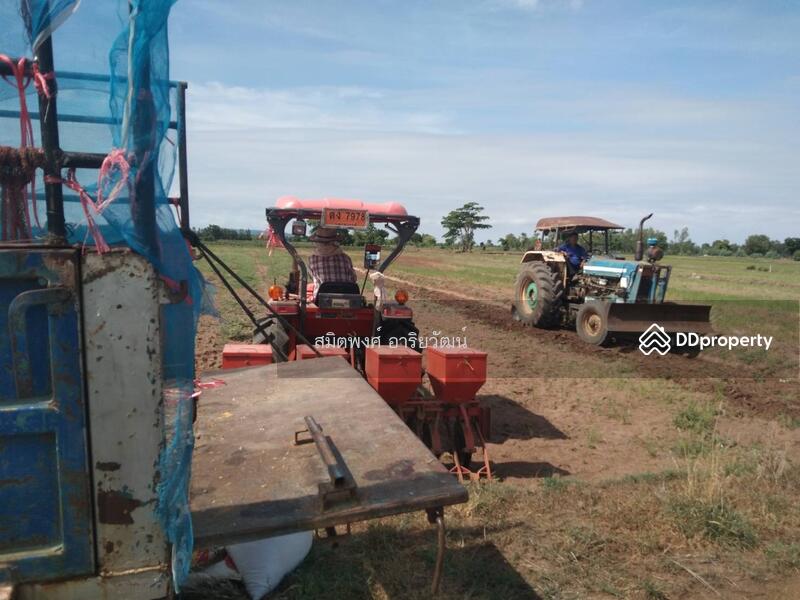 Land for sale 46-2-85 Rai Nakornsawan, Nakhon Sawan, Wang Bo, Nong Bua, Nakhon Sawan, , 74,740 sqm, Land For Sale, by สมิตพงศ์ อาริยวัฒน์, 11020919 - DDproperty.com