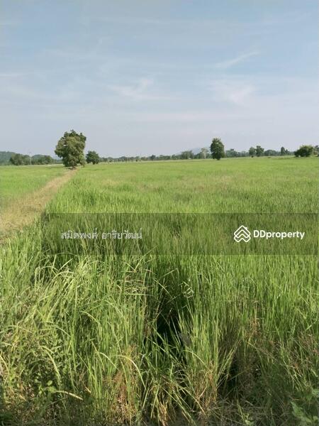 Land for sale 46-2-85 Rai Nakornsawan, Nakhon Sawan, Wang Bo, Nong Bua, Nakhon Sawan, , 74,740 sqm, Land For Sale, by สมิตพงศ์ อาริยวัฒน์, 11020919 - DDproperty.com
