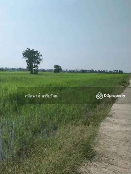 Land for sale 46-2-85 Rai Nakornsawan, Nakhon Sawan, Wang Bo, Nong Bua, Nakhon Sawan, , 74,740 sqm, Land For Sale, by สมิตพงศ์ อาริยวัฒน์, 11020919 - DDproperty.com