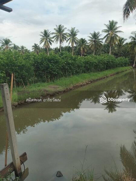 For Sale - Farm land for sale 13-2-61 Rai damnern sadoung Rachaburi, Ratchaburi