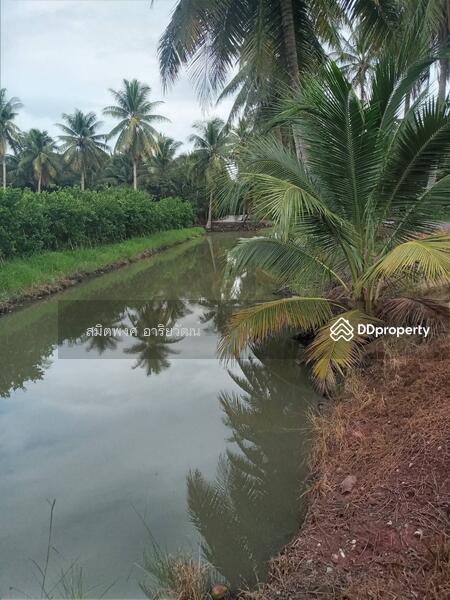 For Sale - Farm land for sale 13-2-61 Rai damnern sadoung Rachaburi, Ratchaburi