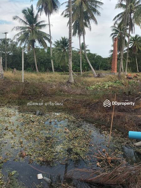 For Sale - Farm land for sale 13-2-61 Rai damnern sadoung Rachaburi, Ratchaburi
