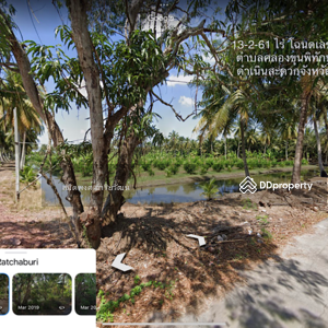 ขาย - ขายที่สวน 13-2-61ไร่ ติดคลองขุนพิทักษ์ ดำเนินสะดวก ราชบุรี, ราชบุรี