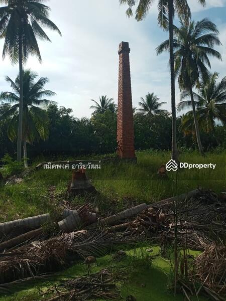 For Sale - Farm land for sale 13-2-61 Rai damnern sadoung Rachaburi, Ratchaburi