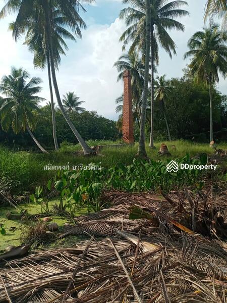 For Sale - Farm land for sale 13-2-61 Rai damnern sadoung Rachaburi, Ratchaburi