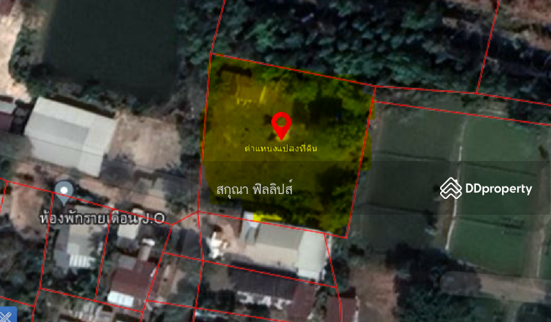 ขาย - ที่ดินอำเภอพังโคน จังหวัดสกลนคร, สกลนคร