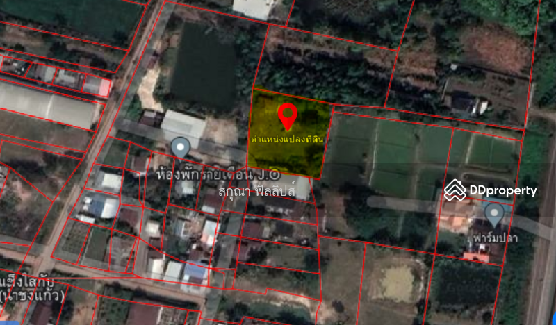 ขาย - ที่ดินอำเภอพังโคน จังหวัดสกลนคร, สกลนคร