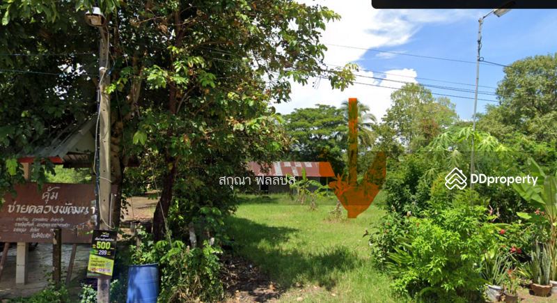 ขาย - ที่ดินอำเภอพังโคน จังหวัดสกลนคร, สกลนคร