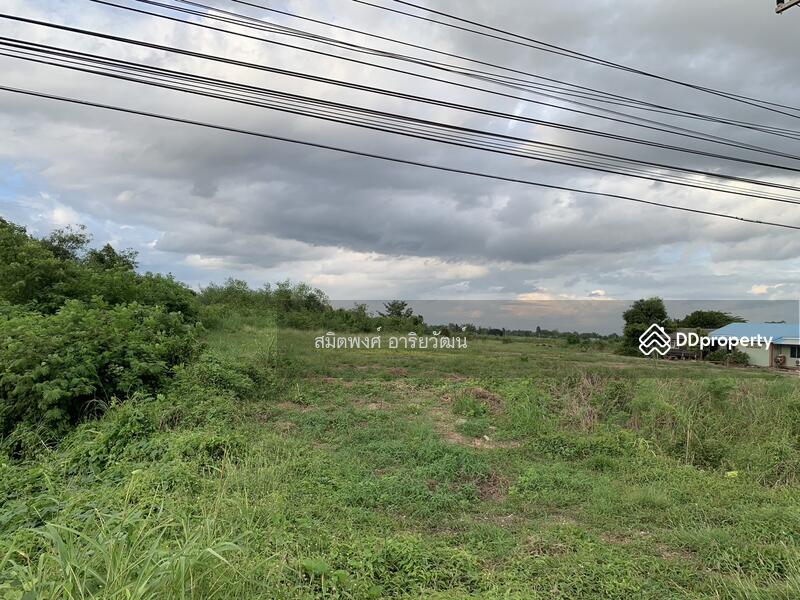 Land for sale, 19Rai Phitsanulok, Phitsanulok, ทางหลวงหมายเลข 12, Phrom Phiram, Phitsanulok, , 30,992 sqm, Land For Sale, by สมิตพงศ์ อาริยวัฒน์, 11021193 - DDproperty.com