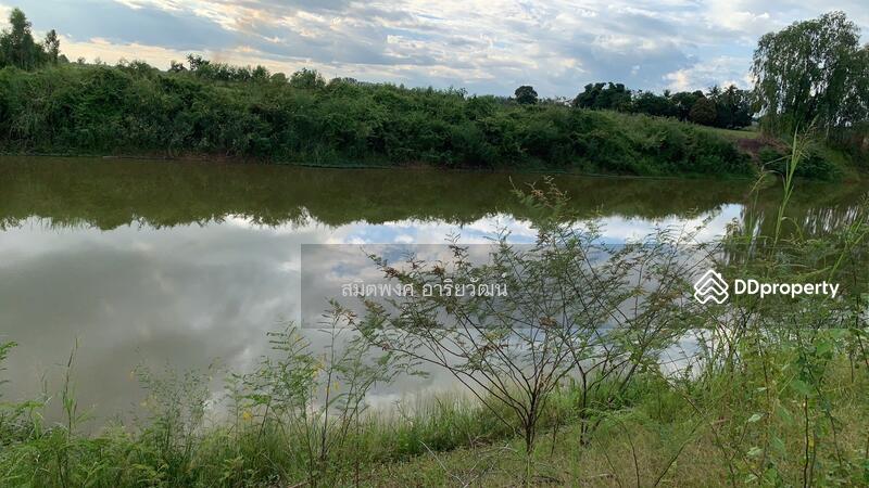 Land for sale, 19Rai Phitsanulok, Phitsanulok, ทางหลวงหมายเลข 12, Phrom Phiram, Phitsanulok, , 30,992 sqm, Land For Sale, by สมิตพงศ์ อาริยวัฒน์, 11021193 - DDproperty.com