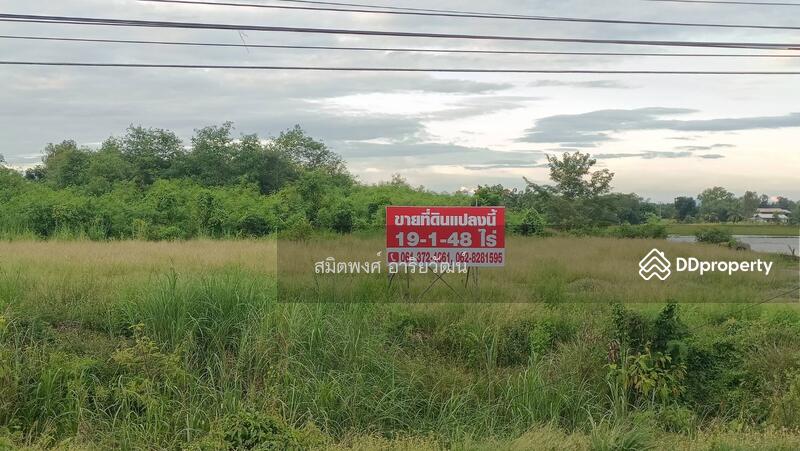 ขายที่ดิน 19 ไร่พิษณุโลก, พิษณุโลก, ทางหลวงหมายเลข 12, พรหมพิราม, พิษณุโลก, 30,992 ตร.ม., ที่ดิน ขาย, โดย สมิตพงศ์ อาริยวัฒน์, 11021193 - DDproperty.com