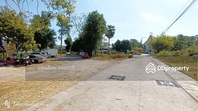 ขาย - ขายที่ดิน1ไร่1งาน15วา หน้าหมู่บ้านลาวิชThe Lavish สุขุมวิทพัทยาซอย19, ชลบุรี