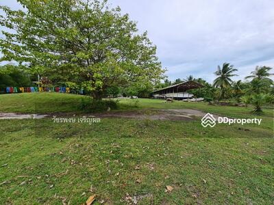 ขาย - ที่ดินถมแล้ว 11 ไร่ หน้าเมือง เกาะสมุย, สุราษฎร์ธานี