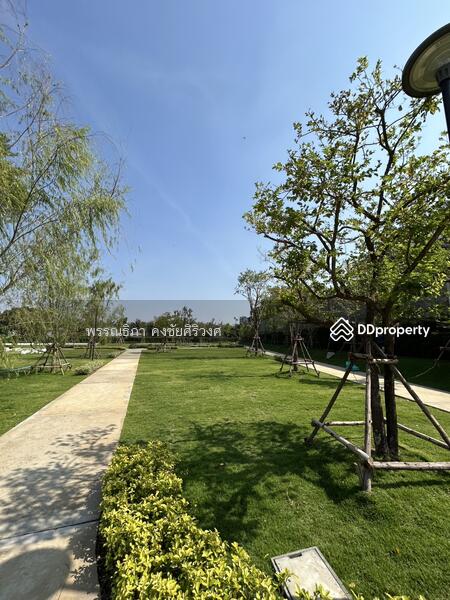 L-111, Bangkok, Si Khan, Don Mueang, Bangkok, , 302 sqm, Land For Sale, by พรรณธิภา คงชัยศิริวงศ์, 11023062 - DDproperty.com