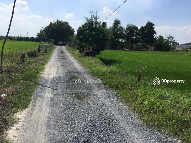 ขาย - ที่ดิน 424ตร.ว. (1ไร่ 24ตร.ว.) กว้าง 26เมตร ลึก 65 เมตร, นนทบุรี