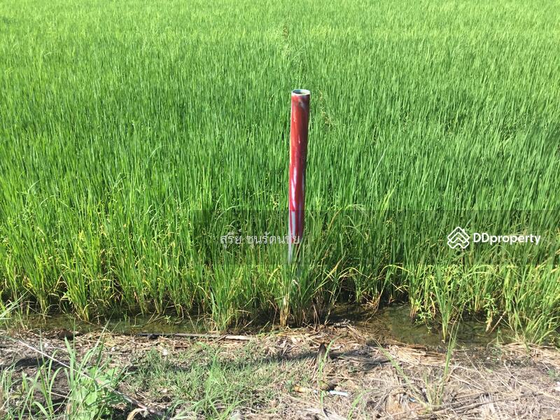 ขาย - ที่ดิน 424ตร.ว. (1ไร่ 24ตร.ว.) กว้าง 26เมตร ลึก 65 เมตร, นนทบุรี