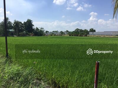 ขาย - ที่ดิน 424ตร.ว. (1ไร่ 24ตร.ว.) กว้าง 26เมตร ลึก 65 เมตร, นนทบุรี