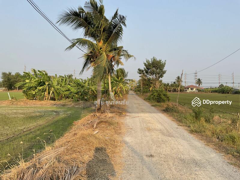 ขาย - ที่ดิน 424ตร.ว. (1ไร่ 24ตร.ว.) กว้าง 26เมตร ลึก 65 เมตร, นนทบุรี