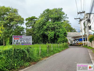 ขาย - ช่างเคี่ยน เชียงใหม่, เชียงใหม่