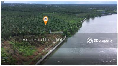 ขาย - ที่ดิน ริมน้ำท่าจีน สมุทรสาคร, สมุทรสาคร