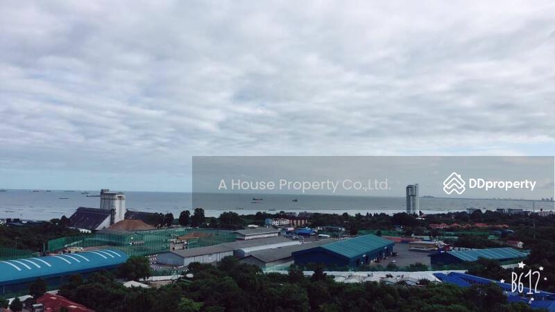 ขาย - Sea Hill Condo Sriracha : ซีฮิลล์ คอนโด ศรีราชา, ชลบุรี