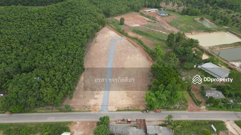 ขาย - ที่ดิน แปลงเนินเขา เชียงคำ พะเยา ถูุกมาก, พะเยา