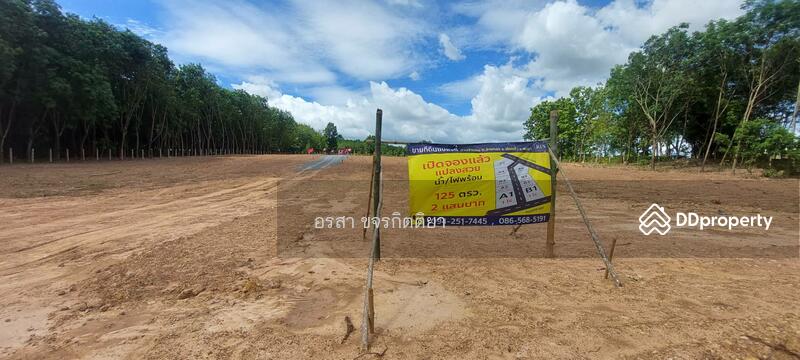 ขาย - ที่ดิน แปลงเนินเขา เชียงคำ พะเยา ถูุกมาก, พะเยา