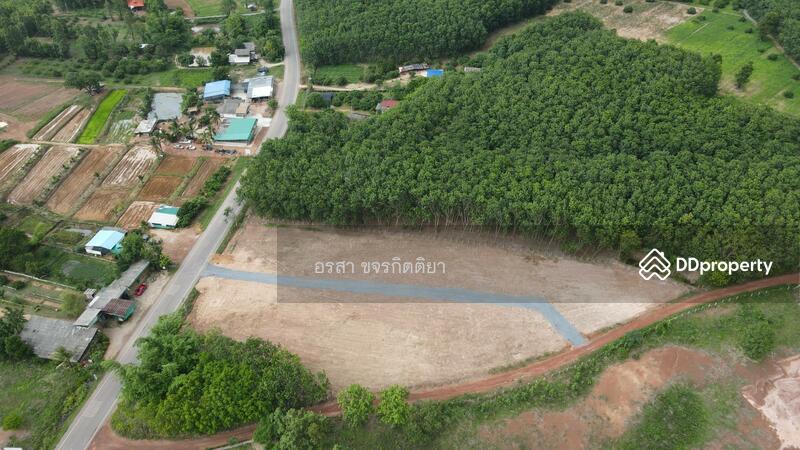 ขาย - ที่ดิน แปลงเนินเขา เชียงคำ พะเยา ถูุกมาก, พะเยา