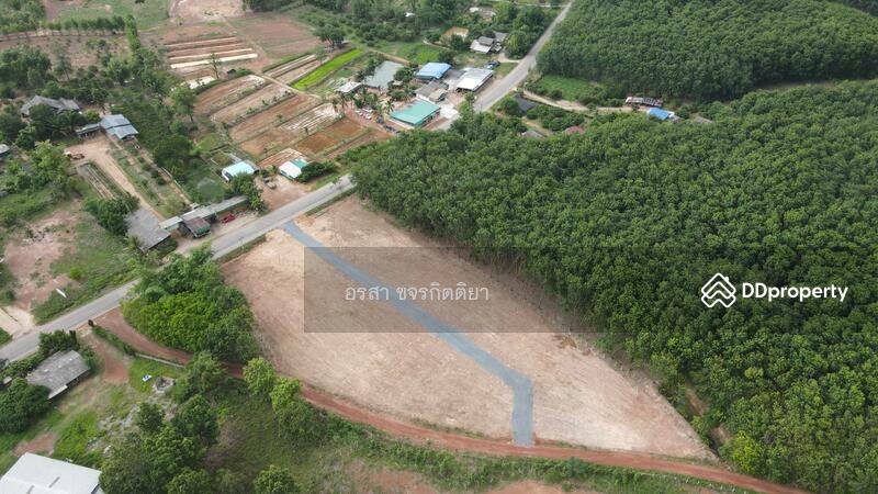 ขาย - ที่ดิน แปลงเนินเขา เชียงคำ พะเยา ถูุกมาก, พะเยา