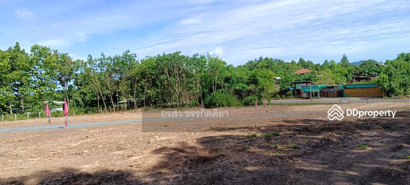 ขาย - ที่ดิน แปลงเนินเขา เชียงคำ พะเยา ถูุกมาก, พะเยา