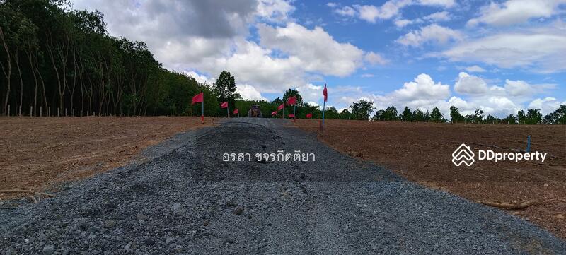ขาย - ที่ดิน แปลงเนินเขา เชียงคำ พะเยา ถูุกมาก, พะเยา