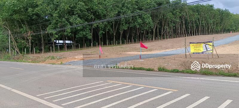 ขาย - ที่ดิน แปลงเนินเขา เชียงคำ พะเยา ถูุกมาก, พะเยา
